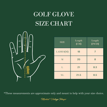 Load image into Gallery viewer, PRO HERITAGE BROWN CABRETTA LEATHER GOLF GLOVES (2 PACK)